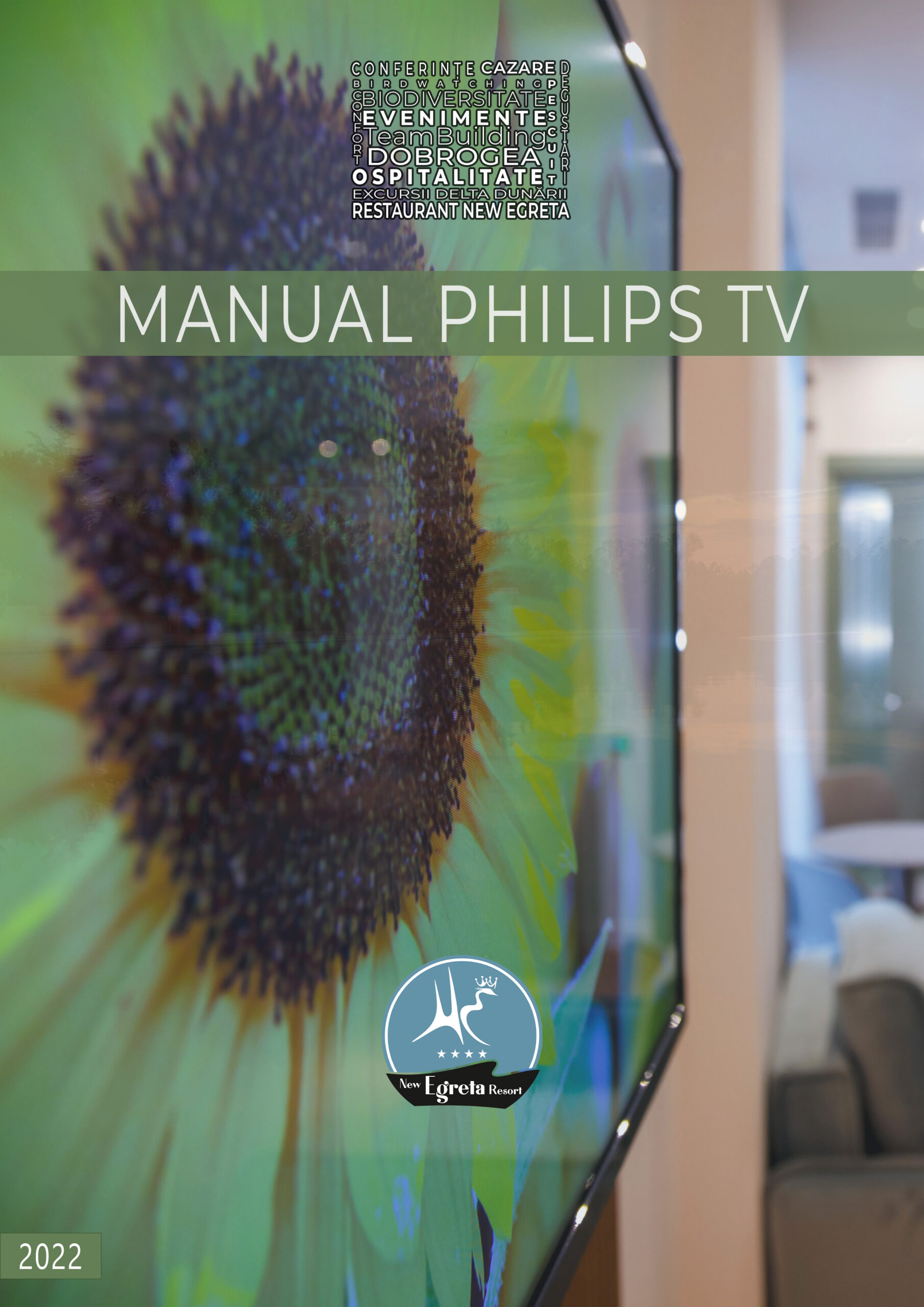 Manual Philips TV